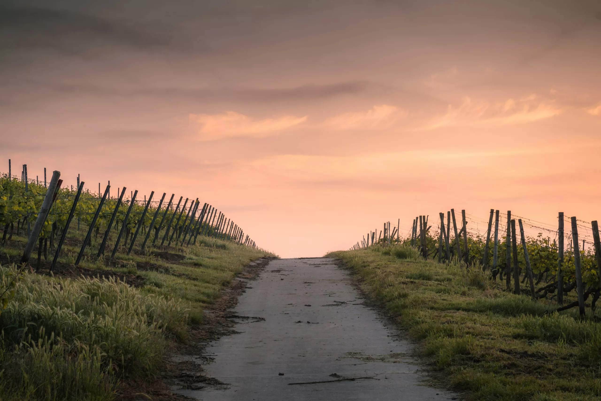 A path leading toward a glowing sunrise horizon
