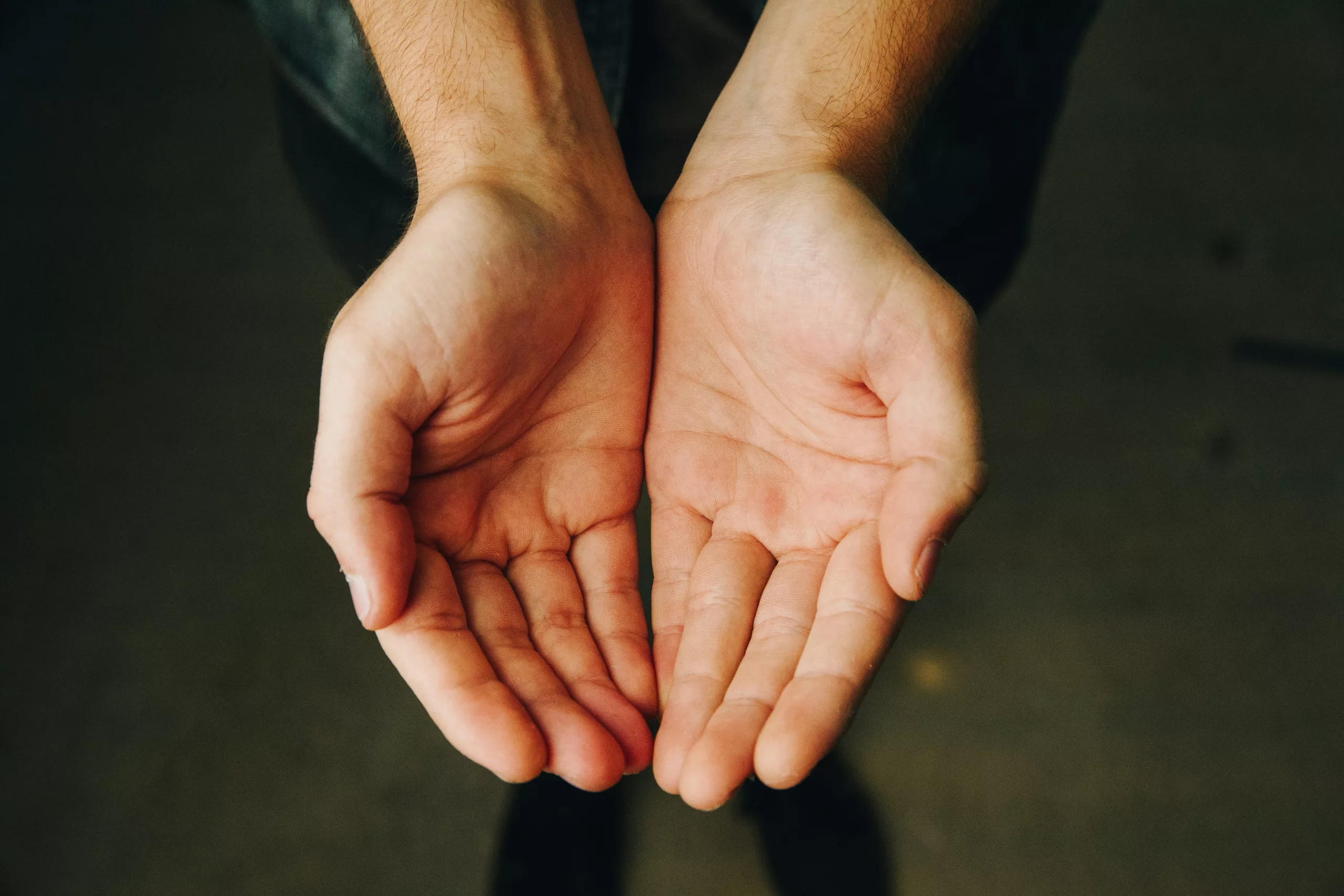 Two open hands held out in warm light