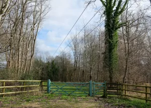 Wooden gate and fence in a wooded area