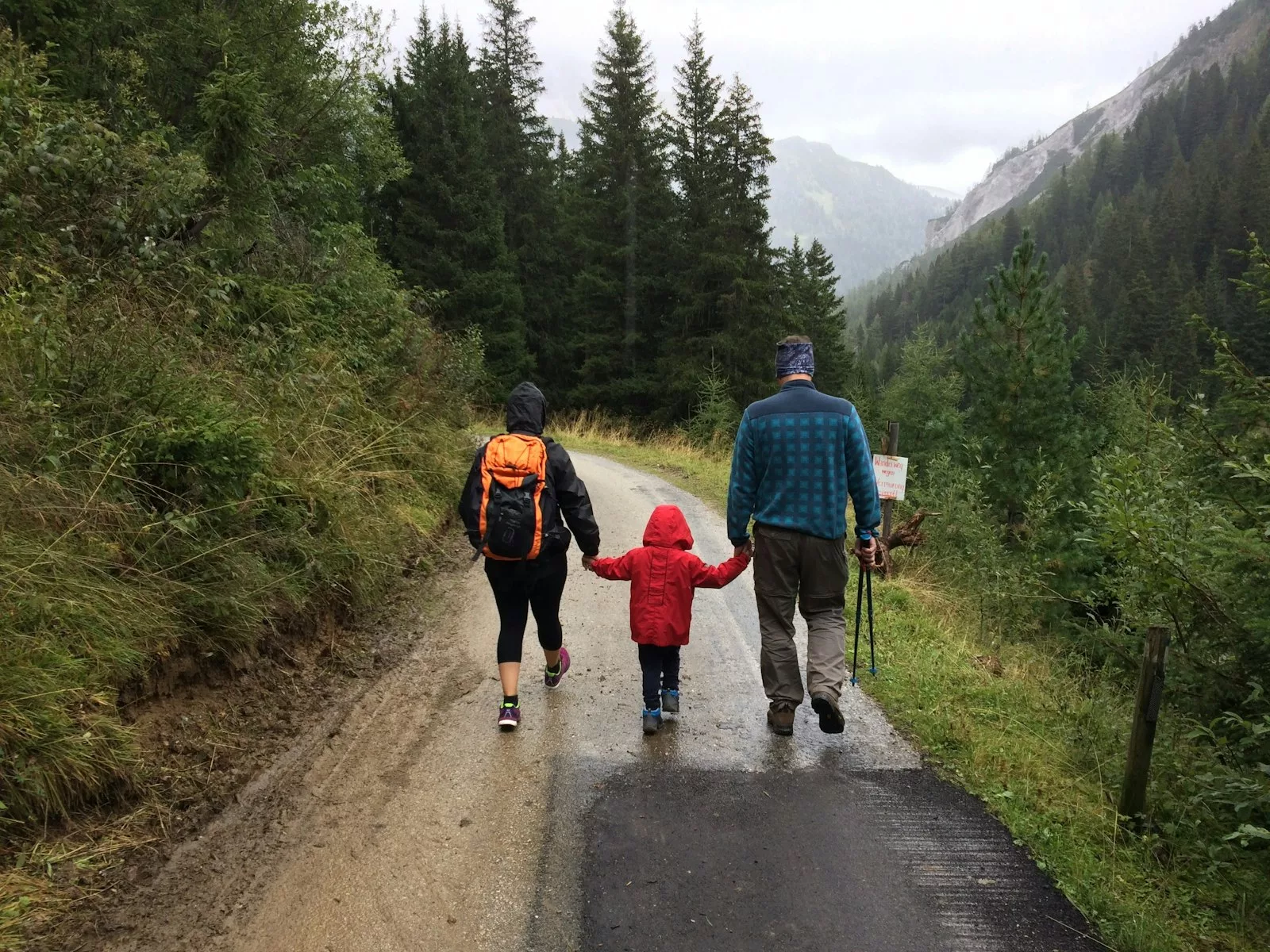 A family walking a mountain path holding hands