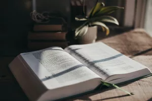 An open book sitting on top of a bed next to a potted plant