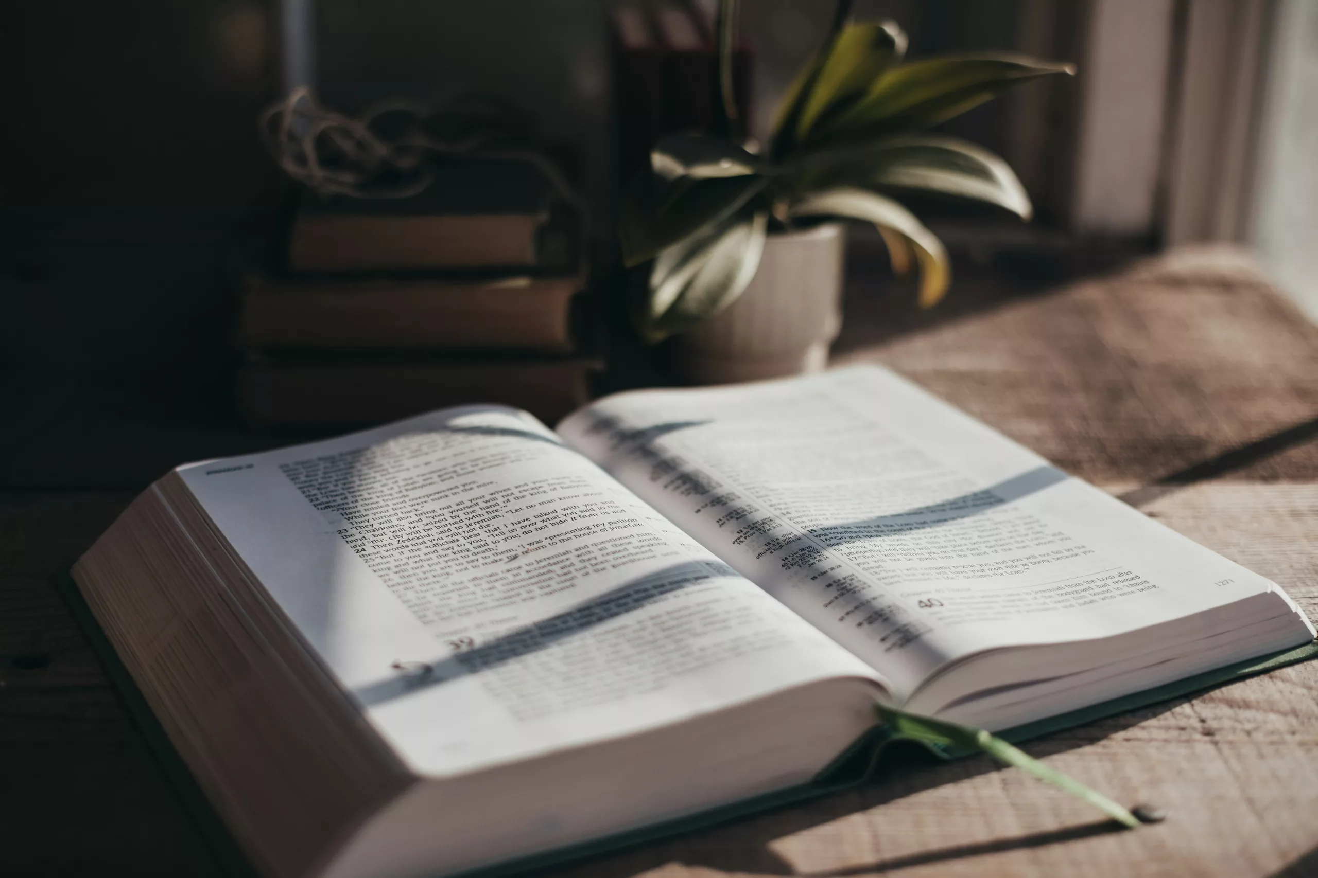 An open book in warm window light