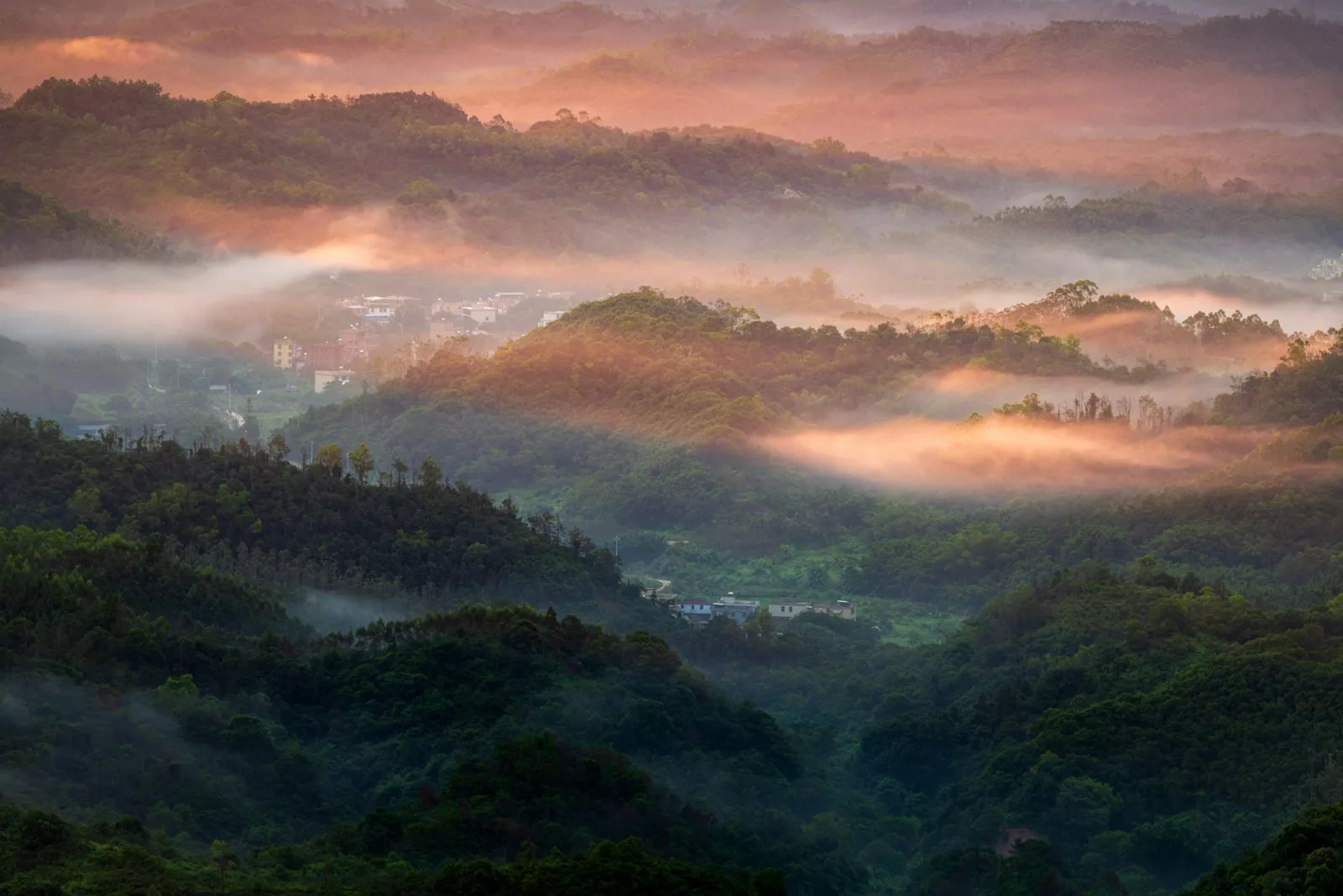 A misty valley catching golden morning light